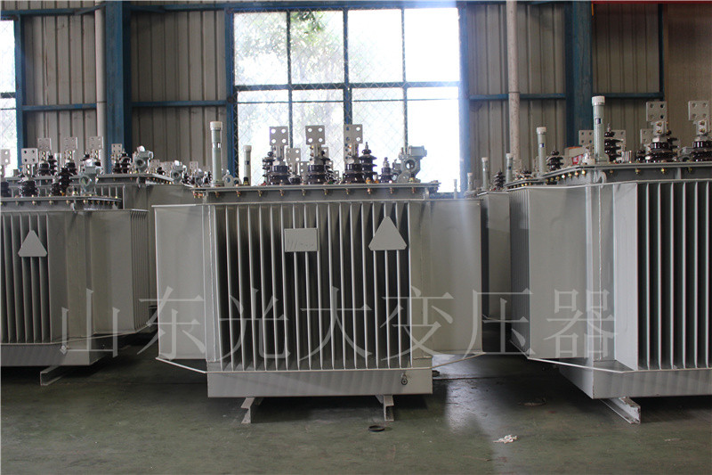 建邺S20-500KVA/10KV